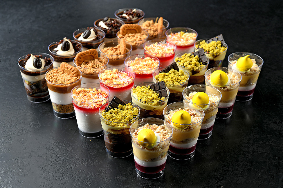 אירוח שוטים פרווה 